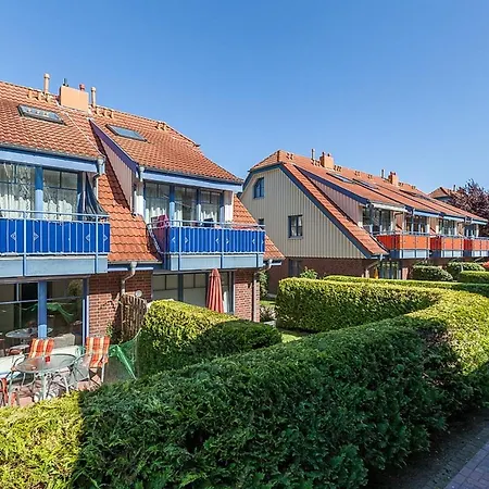 Papillon 08-6 * Boltenhagen (Ostseebad)